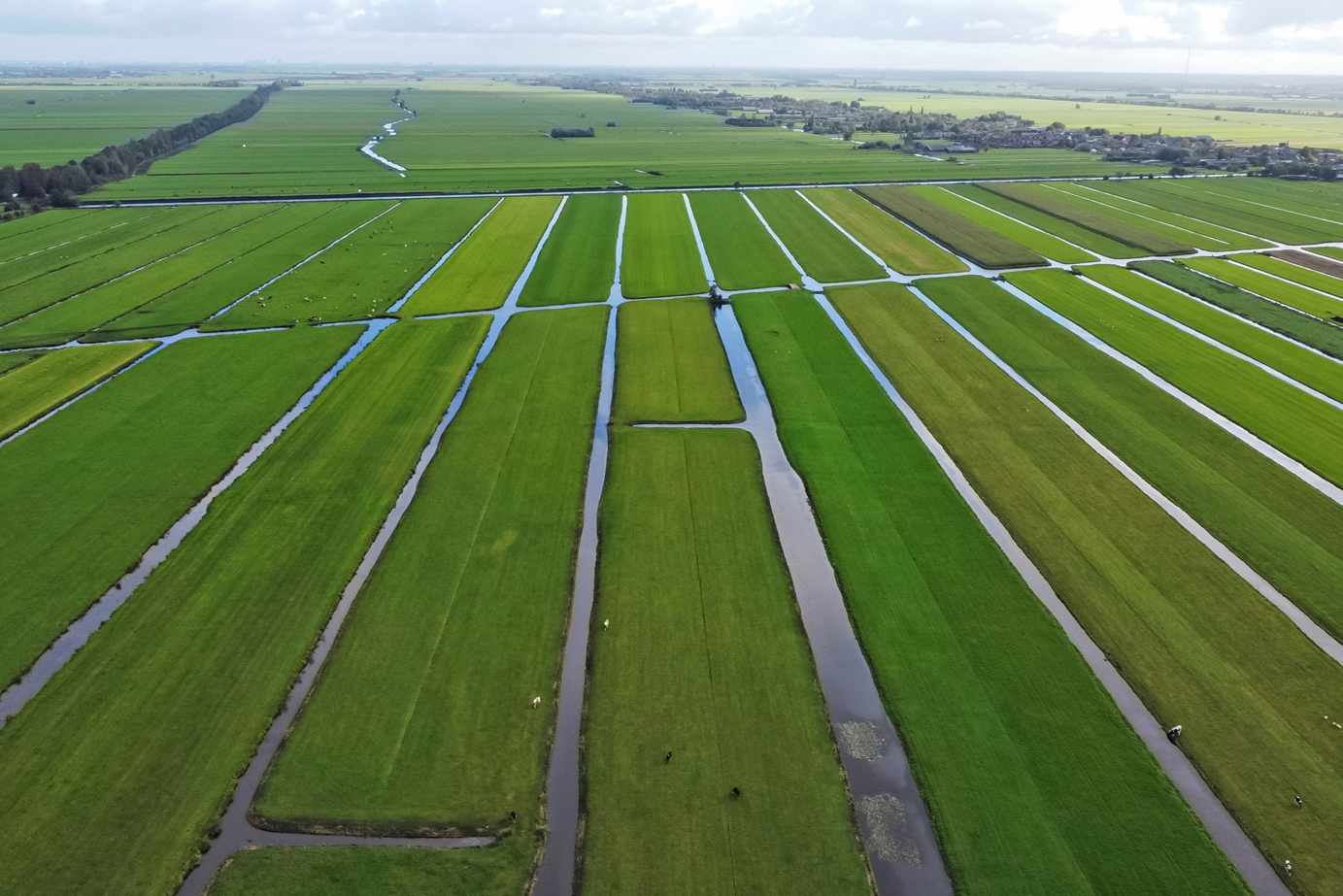 Landbouwgrond verpachten, nu of onder de nieuwe pachtwet? 